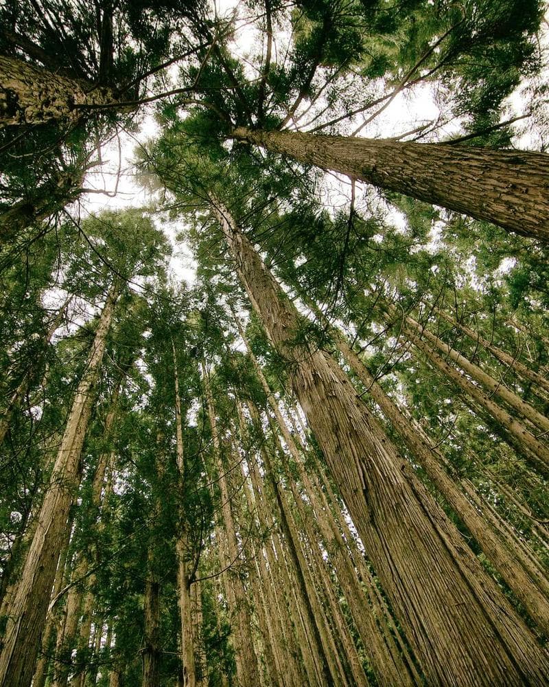 Dimensity Labs workspace